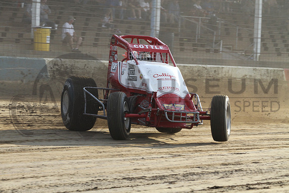 Shane Cottle