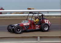DuQuoin 8-27-78 (note: some minor streaks on negative)