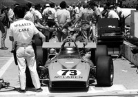 Peter Revson's #73