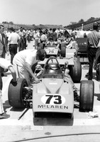 Revson's #73 and Hulme's #75