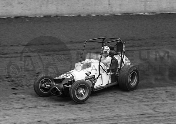Spingfield 8-16-75